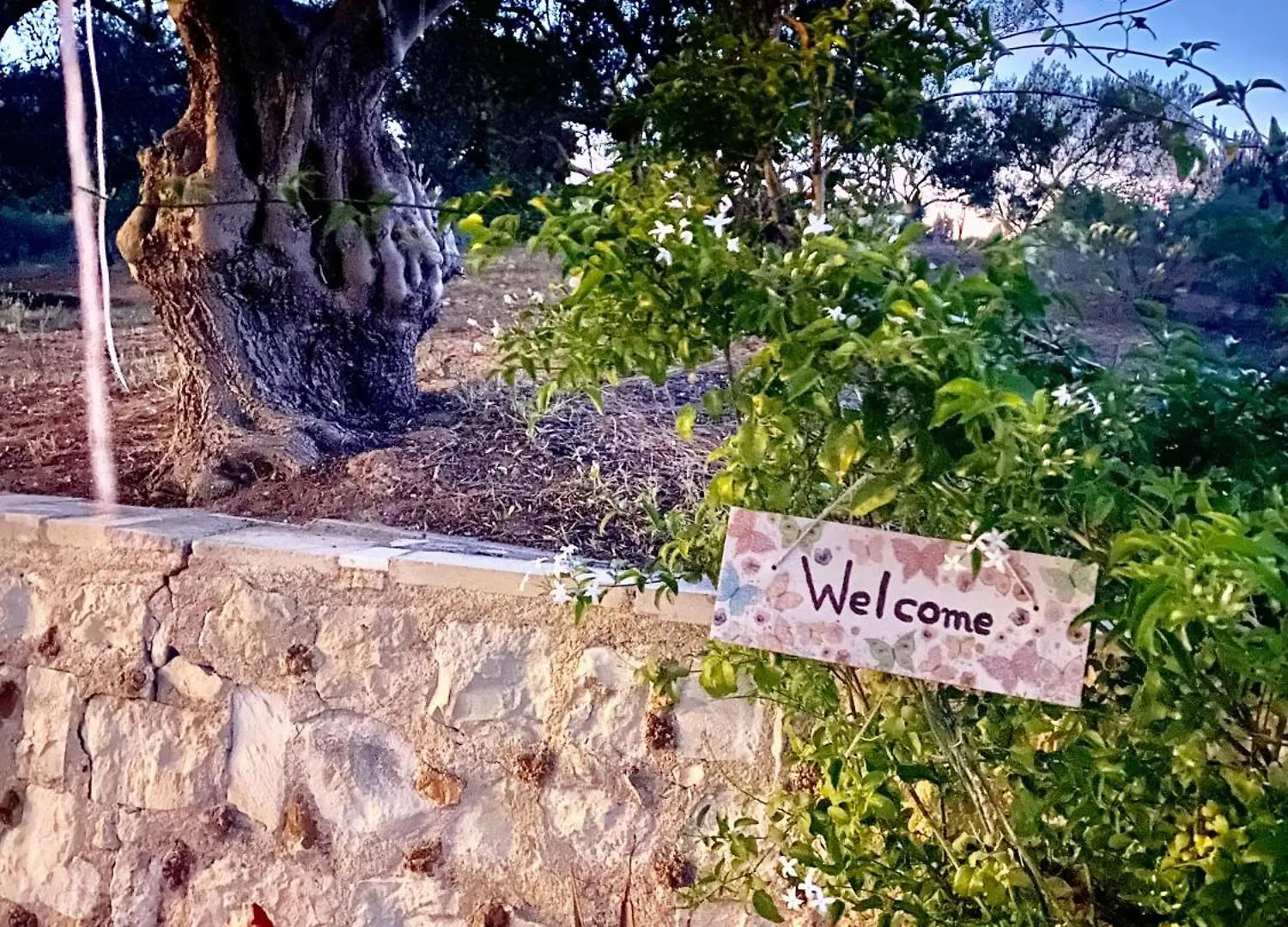 Nikis Home Resmo 0*,  Yunanistan